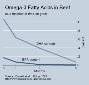 how-to-lose-weight-omega-3